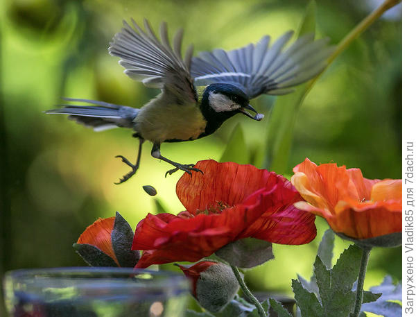 А этот кадр вообще не попадает под дополнения, если не считать нерезкое очертание стеклянного сосуда в левом нижнем углу.