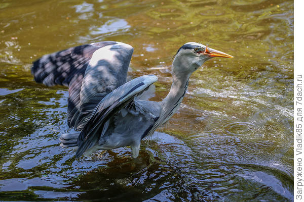 рыбалки финальный аккорд...
