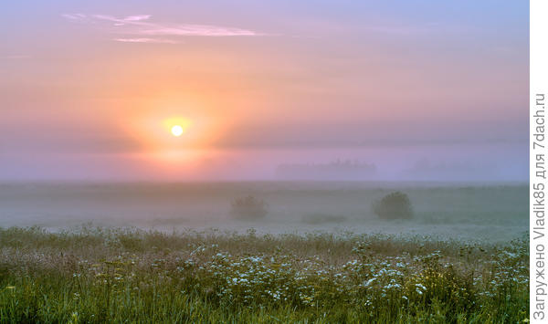 У меня стоит вот этот снимок, он помягче и не отвлекает))