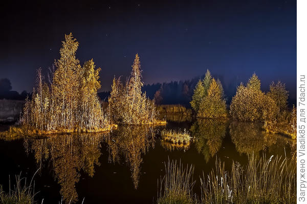 Спасибо, передам!