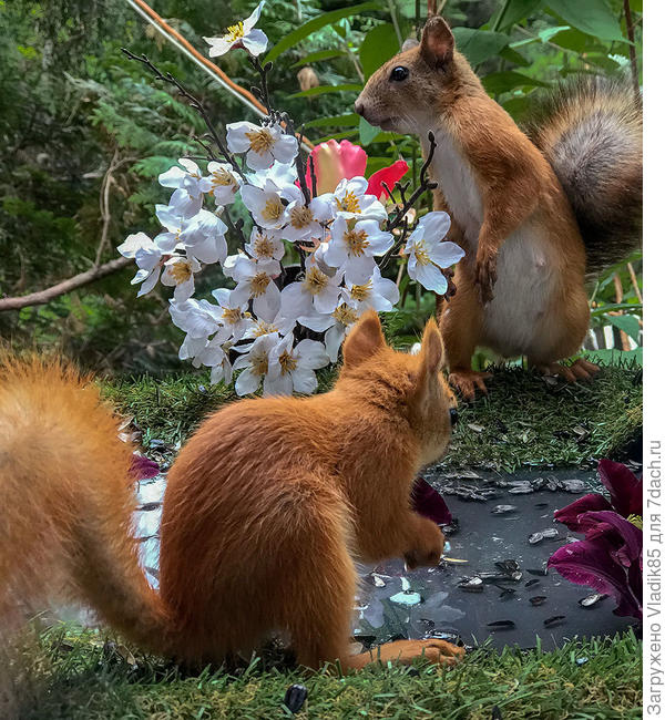 Здесь один с мамкой)