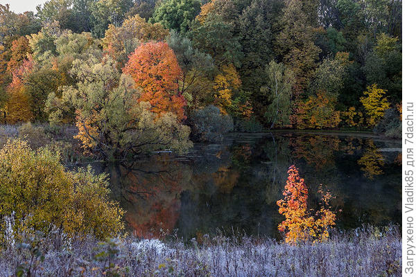 на ПП изморозь на траве))