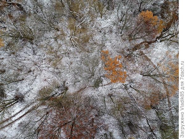 Это от Феди, как и обещал&hellip;первый прошлогодний снег