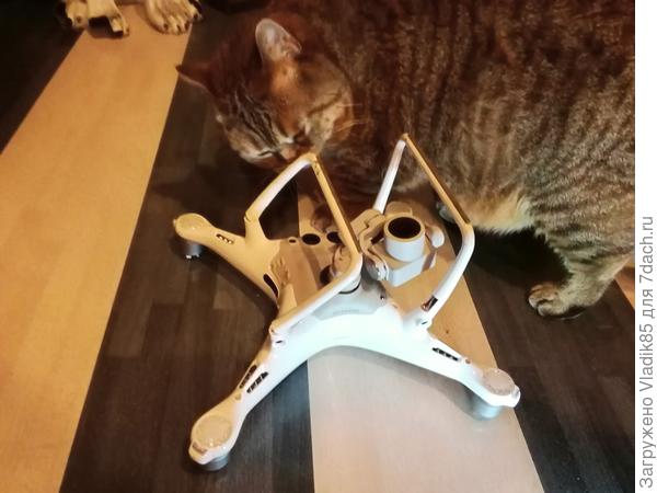 Но тут подошел мастер и сказал, что всё поправить за пару бутылок виски, предложил вискас… отказался,