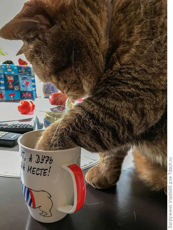 Федот Вас персонально поздравляет с праздником!!!!