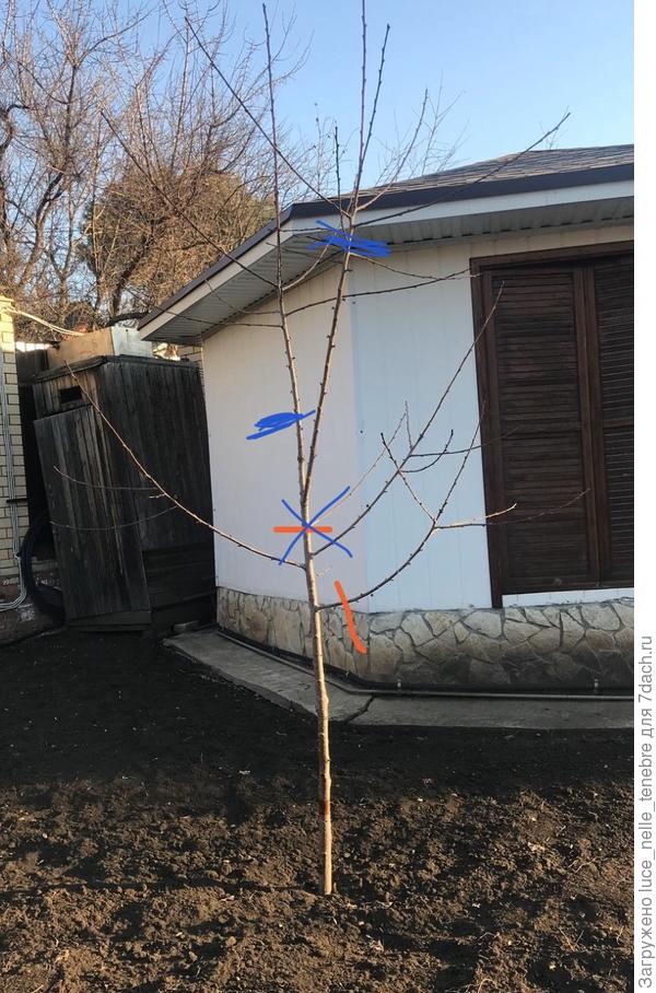 Может, так лучше?