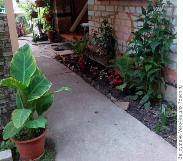 Это внутри беседки ,она примыкает к дому