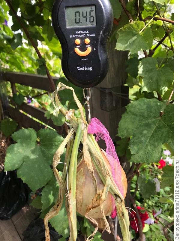 самая большая