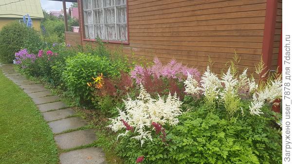 желание у меня есть, но с фантазией всё хуже обстоит(