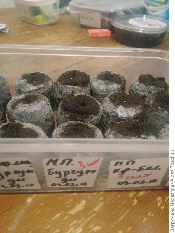 Посев в таблетки