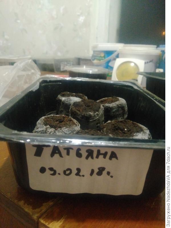 Посев в таблетки