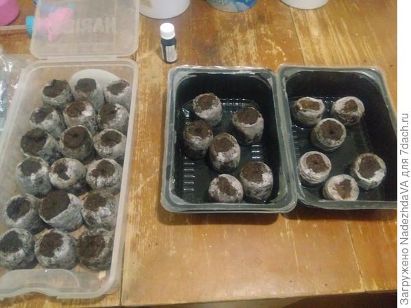 Процесс разбухания таблеток