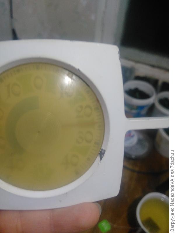 Температура 24 градуса