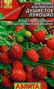 Земляника "Душистое лукошко"