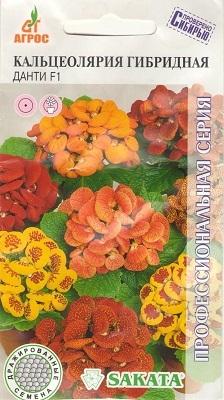 Кальцеолярия