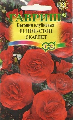 Клубневая бегония