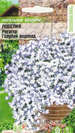 Лобелия "Голубой водопад"