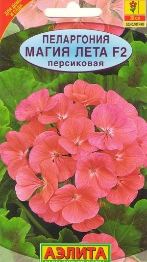 Пеларгония F2 "Магия лета"