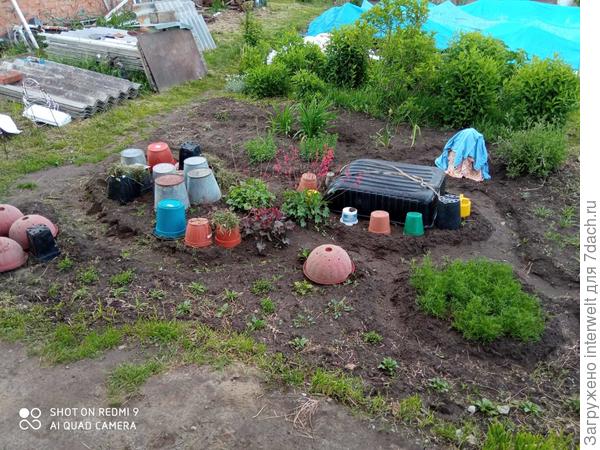 Вот так вот все выглядит, когда высадил в начале лета однолетники