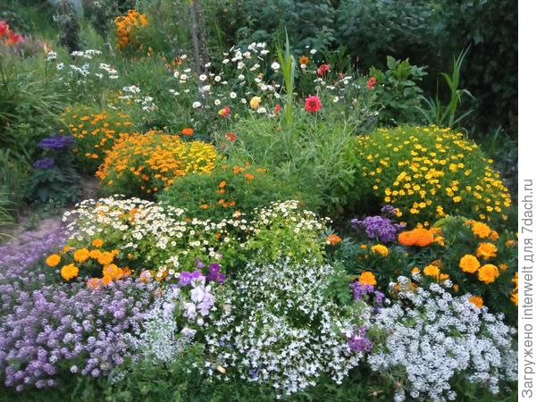 Она же в августе