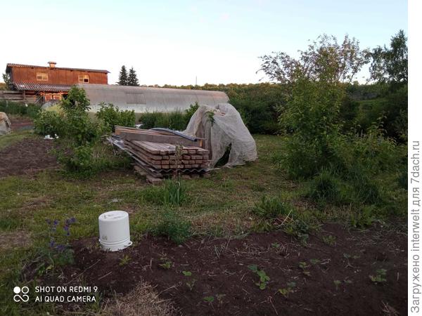 Под старой кастрюлей тоже цветочек