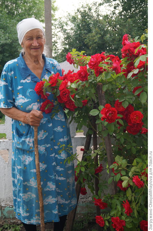 Моя бабуля