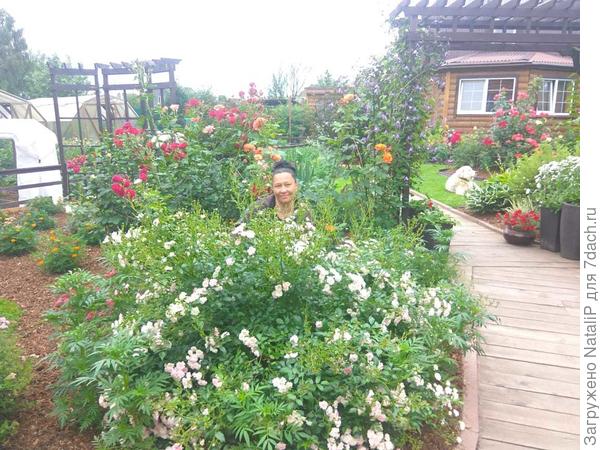 Вот такую дорожку мы сделали к бане, а возле бани и в зону отдыха хотим в этом году до делать