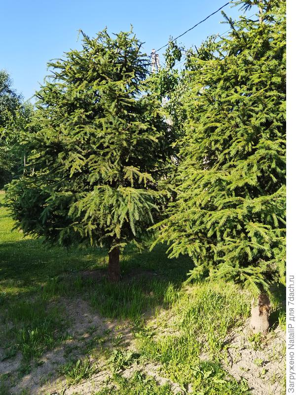 Ну как то так