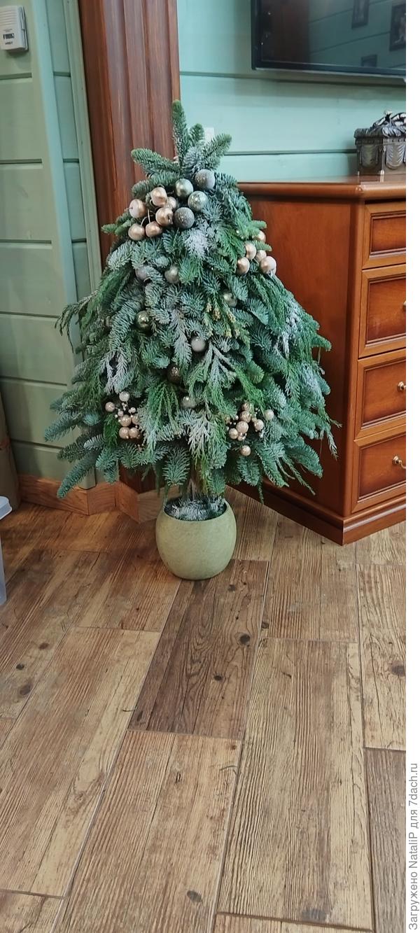 Елка 2025 года