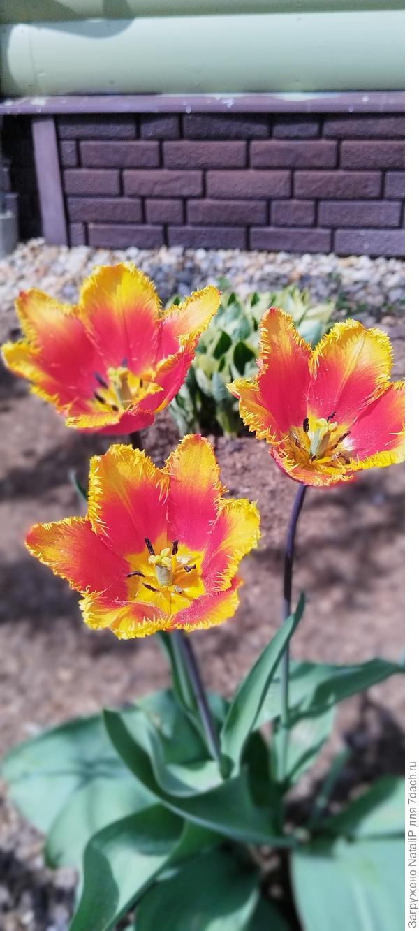 Красавец какой)))