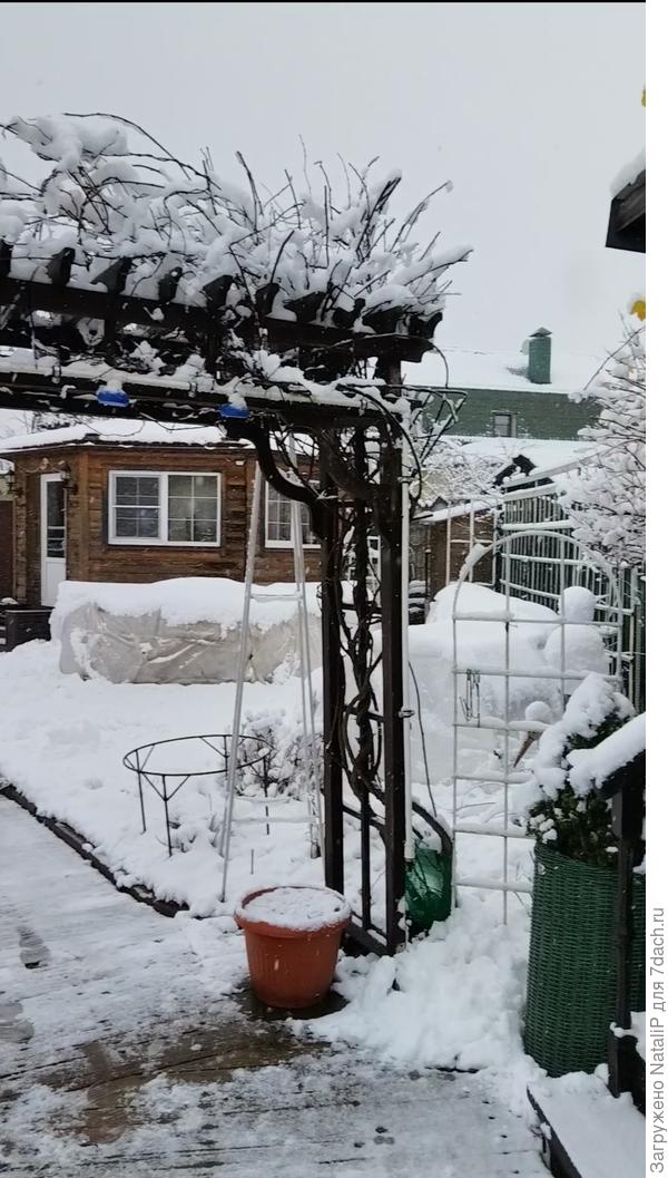 Конечно это первый только первый снег.