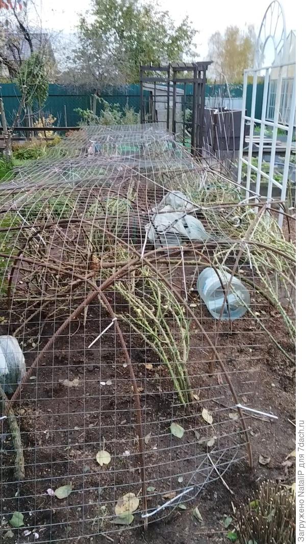 Вот здесь на фото у меня не стандартное укрытие.