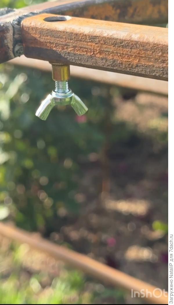 Вот такой барашек