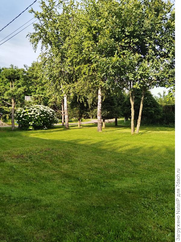 Мне кажется не плохо они смотрятся и пейзаж красивый.