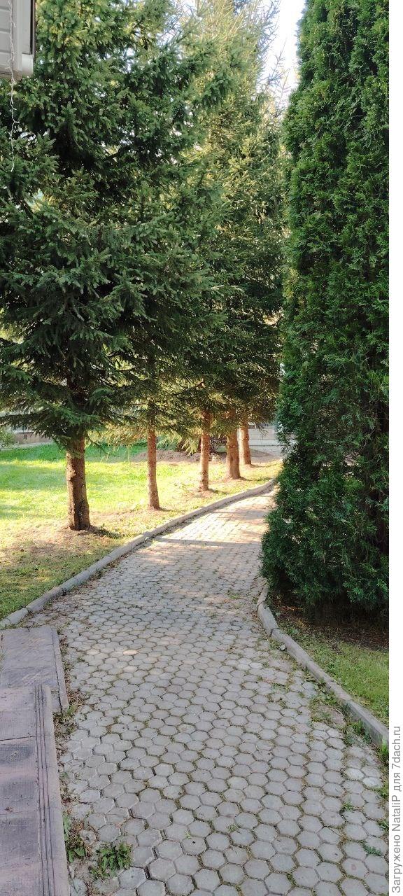 Ну я очень рада что ему все понравилось. В следующим году продолжу свои работы.