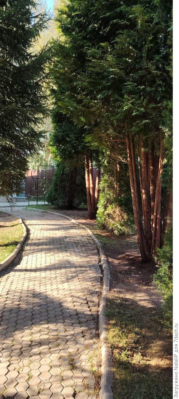 Мы не много поработали, и вот так у него стало.