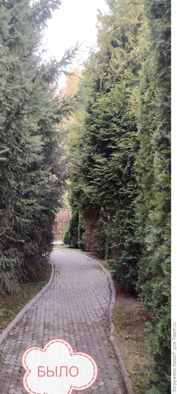 Вот так у него было))