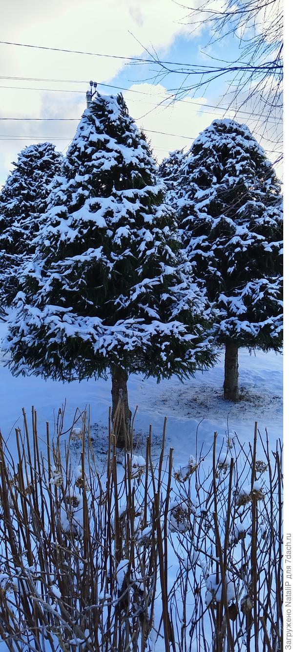 Мне кажется что не плохо получилось.