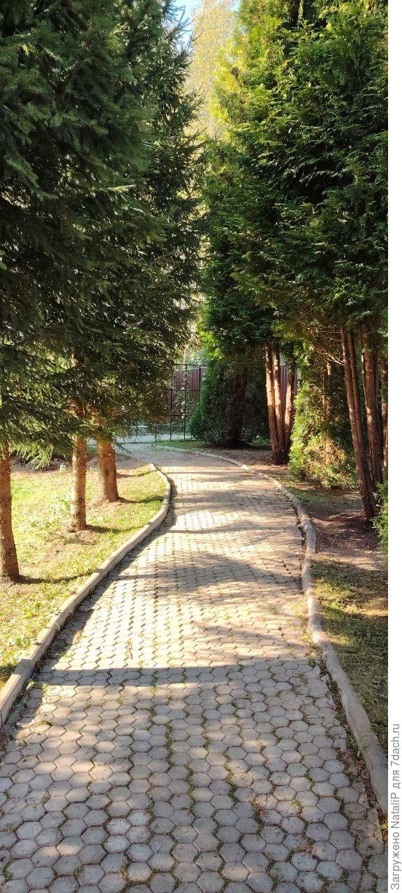 Пустили свет на участок