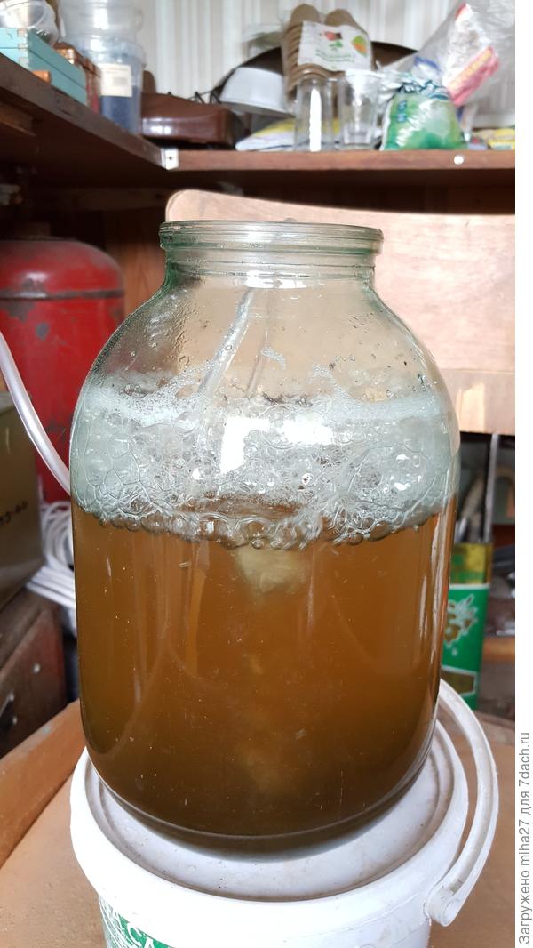 1. Половина ч/л мелассы, пол стакана компоста (3год.) - 36 часа