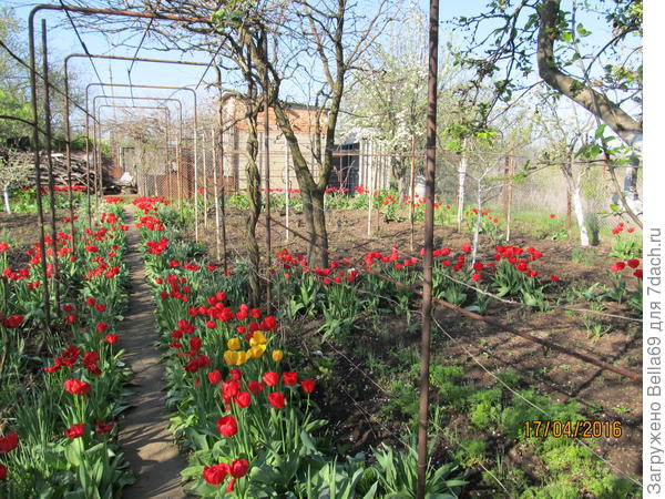 17 апреля 2016г