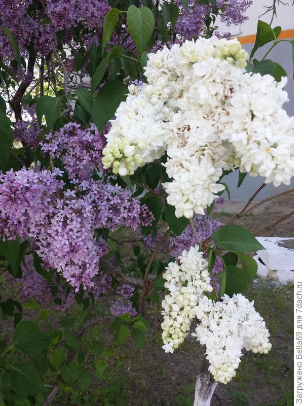 Это вам для настроения!