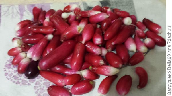 &amp;quot;Французский завтрак&amp;quot;