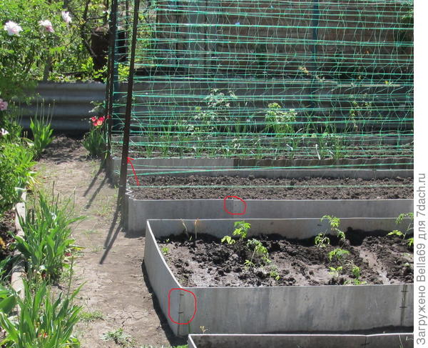 Применение пластиковых стяжек  на даче