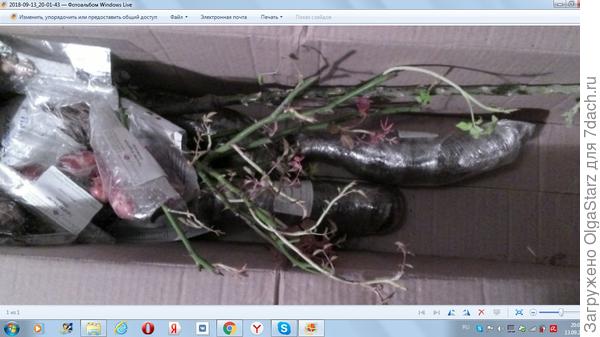 Фото в коробке.