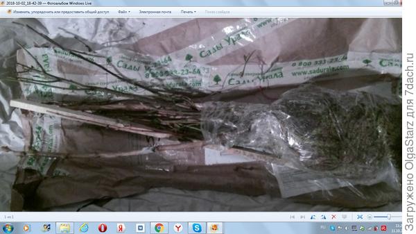 Это только еще распакованные.