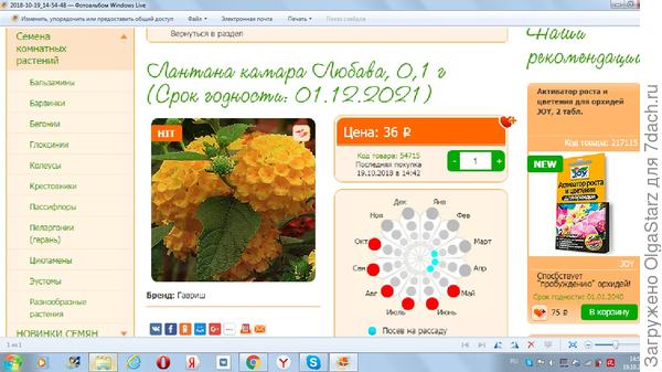 это комнатное растение