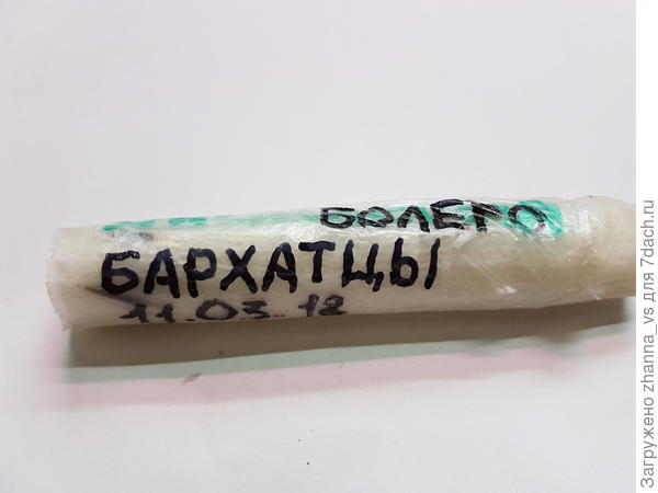 Пакетик скрутила и подписала название культуры и дату "посева"
