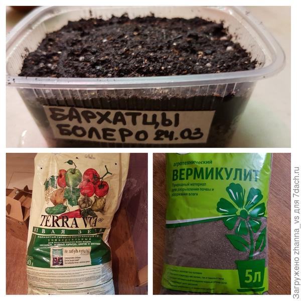И в землю