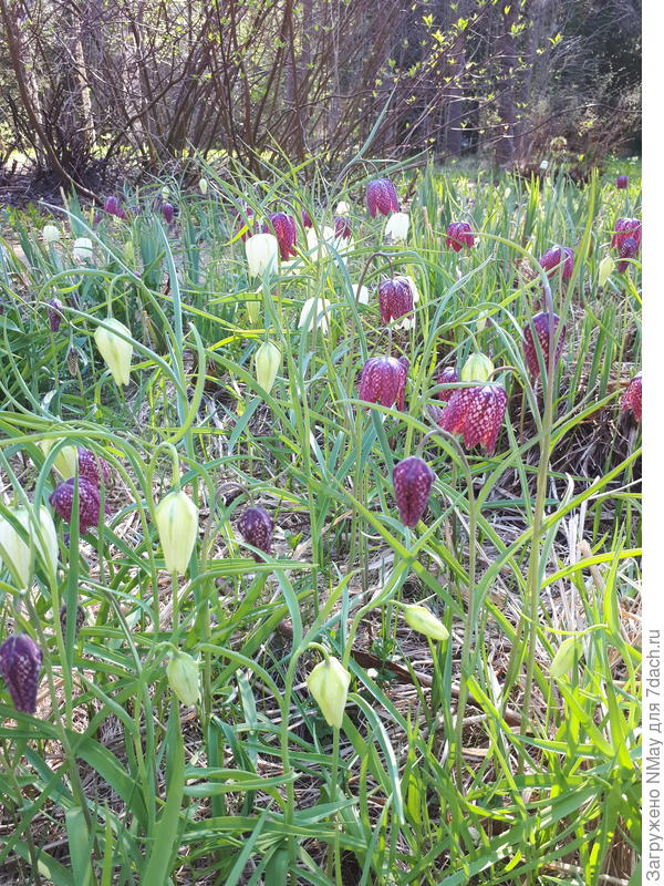 Вот такая красота получилась